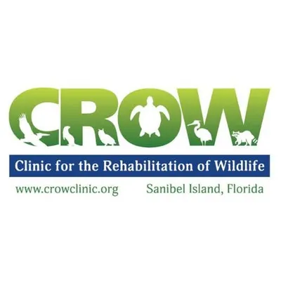 crowclinic.org's icon