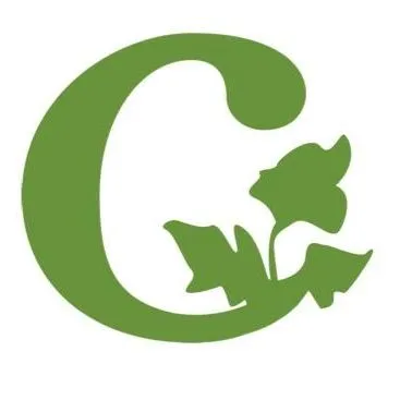 crudessence.com's icon