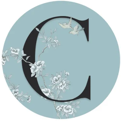 crustaceanbh.com's icon