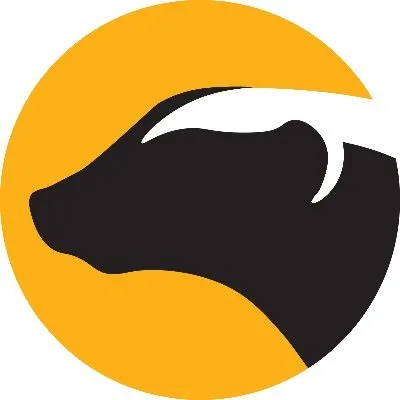 cryptoconvert.co.za's icon