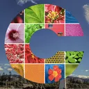 CryptoPhoto logo