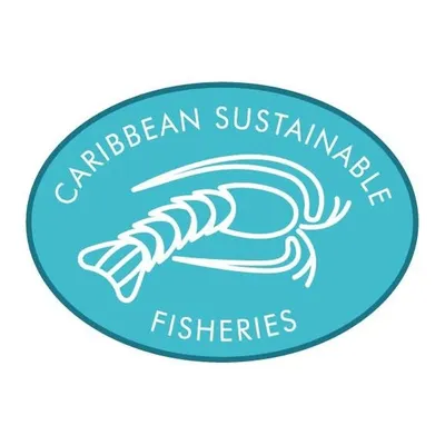 csfbvi.com's icon