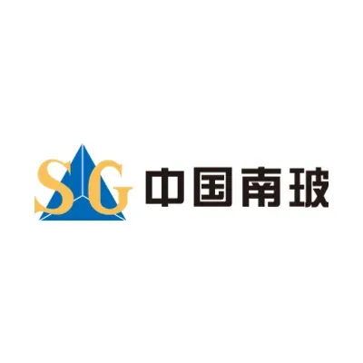CSG HOLDING's icon