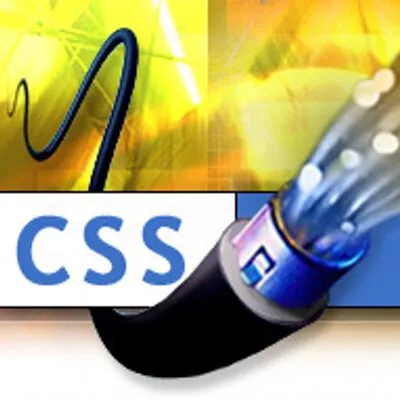 cssnw.com's icon