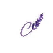 curiositesetconfettis.fr's icon