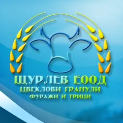 cveklo.com's icon