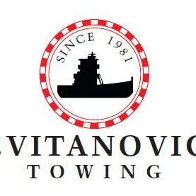 cvitanovictowing.com's icon