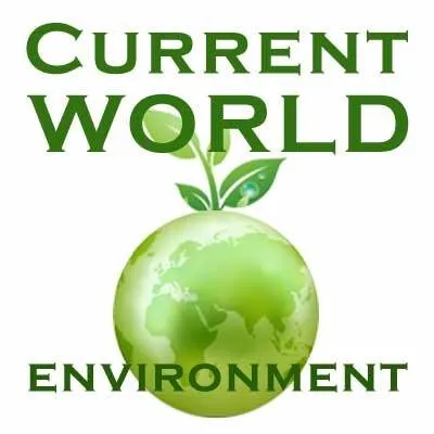 cwejournal.org's icon
