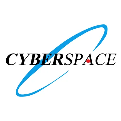 cyberspace.net.ng's icon