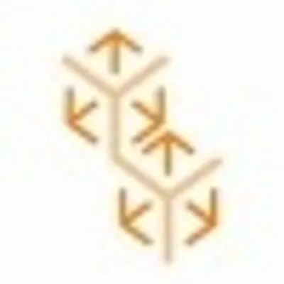 cysce.com's icon