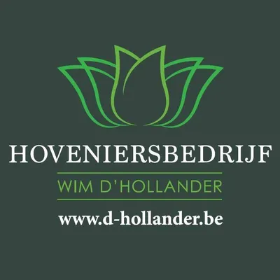 d-hollander.be's icon