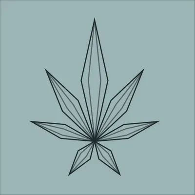 dachawellness.com's icon