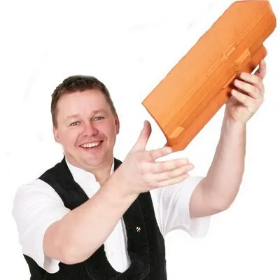 dachdecker-hh.de's icon
