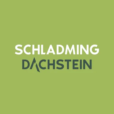 dachstein-card.com's icon