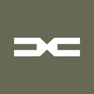 dacia.pl's icon