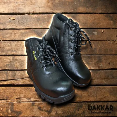dakkarsafety.com's icon