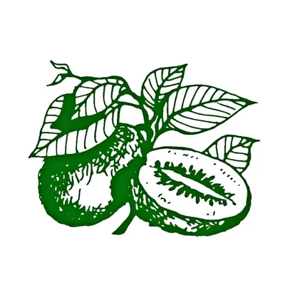 daleysfruit.com.au's icon