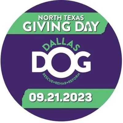 dallasdog.org's icon