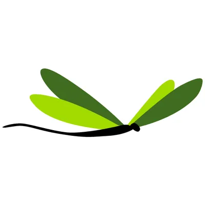 dallaswholelife.com's icon