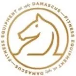 damascussport.com's icon