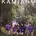 Damien Memorial School logo