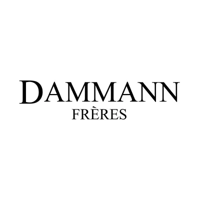 dammann.fr's icon