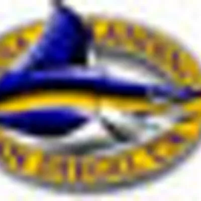 danalanding.com's icon