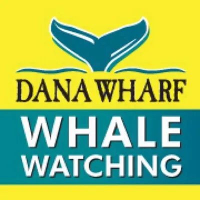 danawharf.com's icon