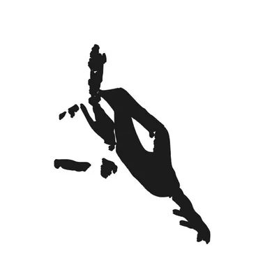 dandydesigns.pk's icon