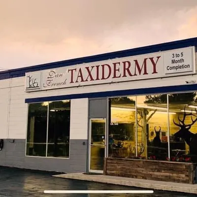danfrenchtaxidermy.com's icon