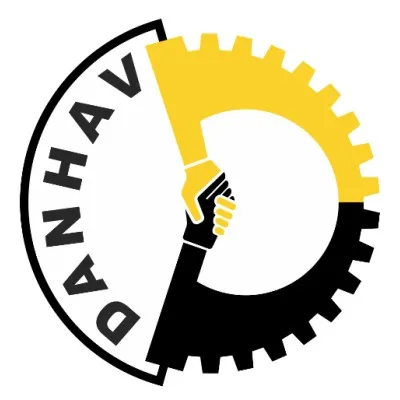 danhav.com's icon