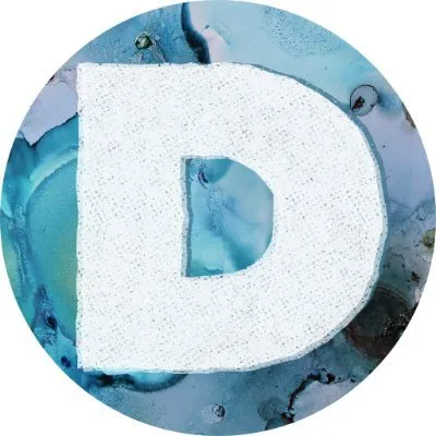 danslelakehouse.com's icon