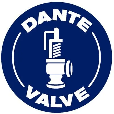 dantevalve.com's icon