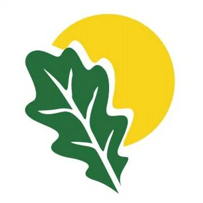 danvillesanramon.com's icon