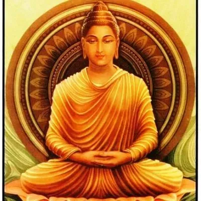 daotrangtuphat.com's icon