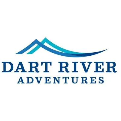 dartriver.co.nz's icon