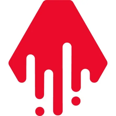 dataforce.cz's icon
