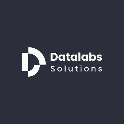 datalabssols.com's icon