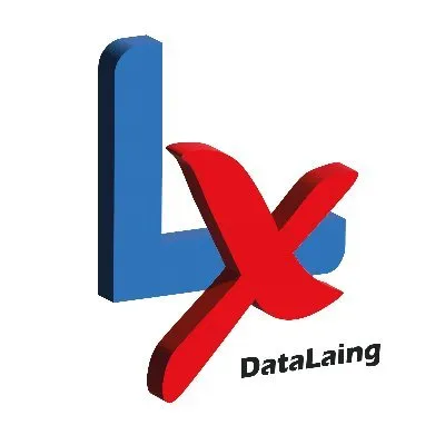 datalaing.com's icon