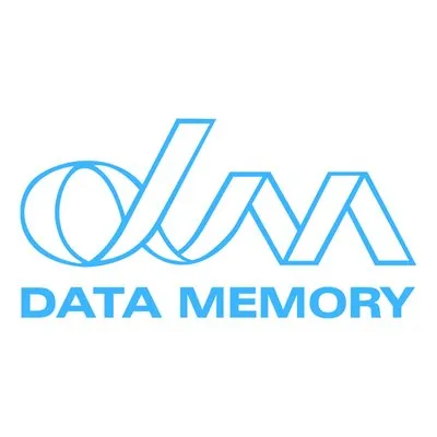 datamemory.com.ar's icon