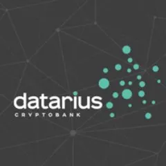 datarius.io's icon