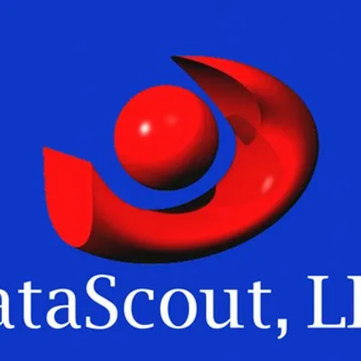 datascoutpro.com's icon