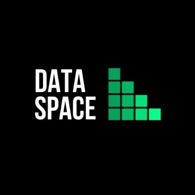 dataspacedigital.com's icon
