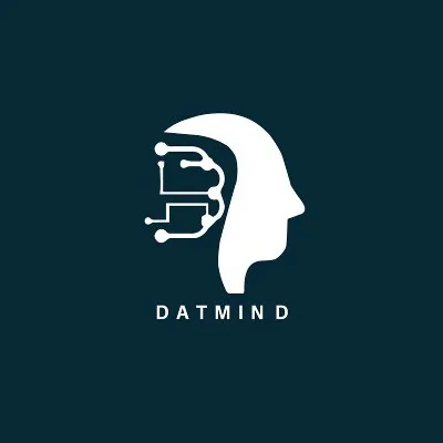datmindgroup.com's icon