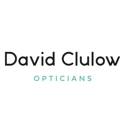 davidclulow.com's icon