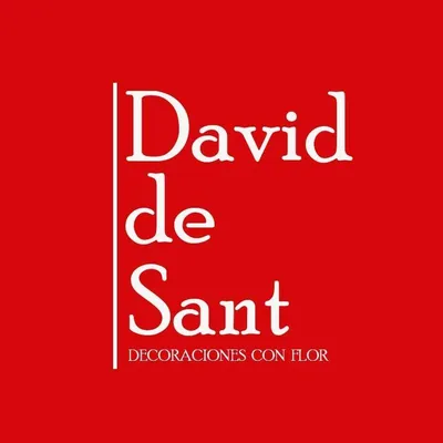 daviddesant.com's icon