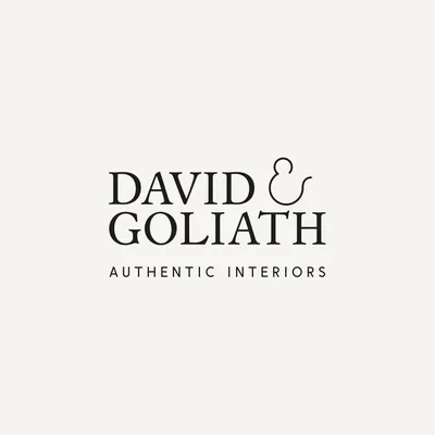 davidgoliath.be's icon