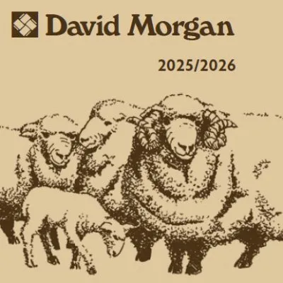 davidmorgan.com's icon