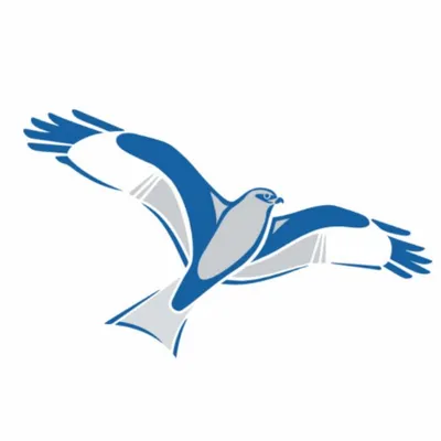 dda-web.de's icon