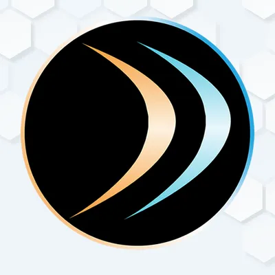 ddnet.io's icon